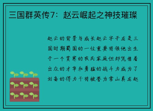 三国群英传7：赵云崛起之神技璀璨